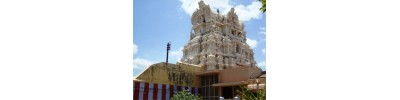 பெருங்குளம்